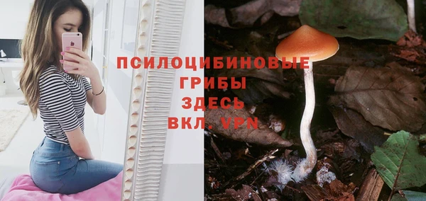 альфа пвп Баксан