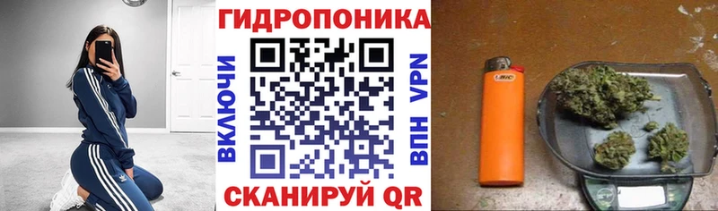 Каннабис MAZAR  Майкоп 